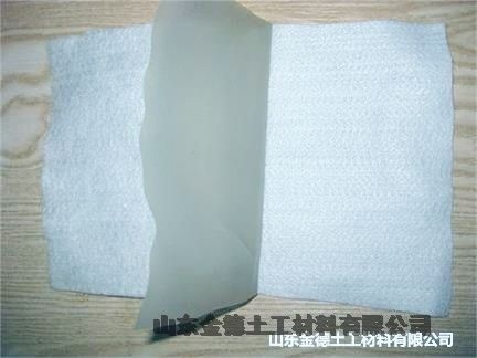 游泳池防滲隔離用150絲厚建標沼液池浮動(dòng)膜-質(zhì)保廠(chǎng)家+瑞金市