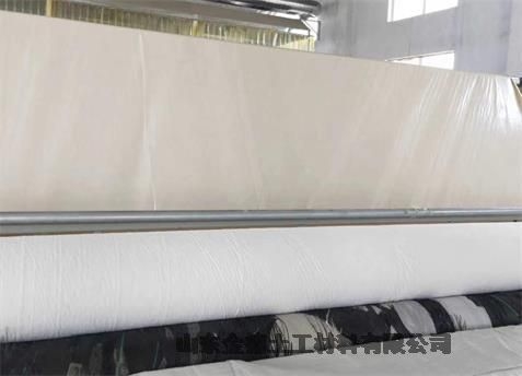 余江縣GH-2S環(huán)保HDPE土工膜光面均質(zhì)防滲材料-國標300克透水土工布