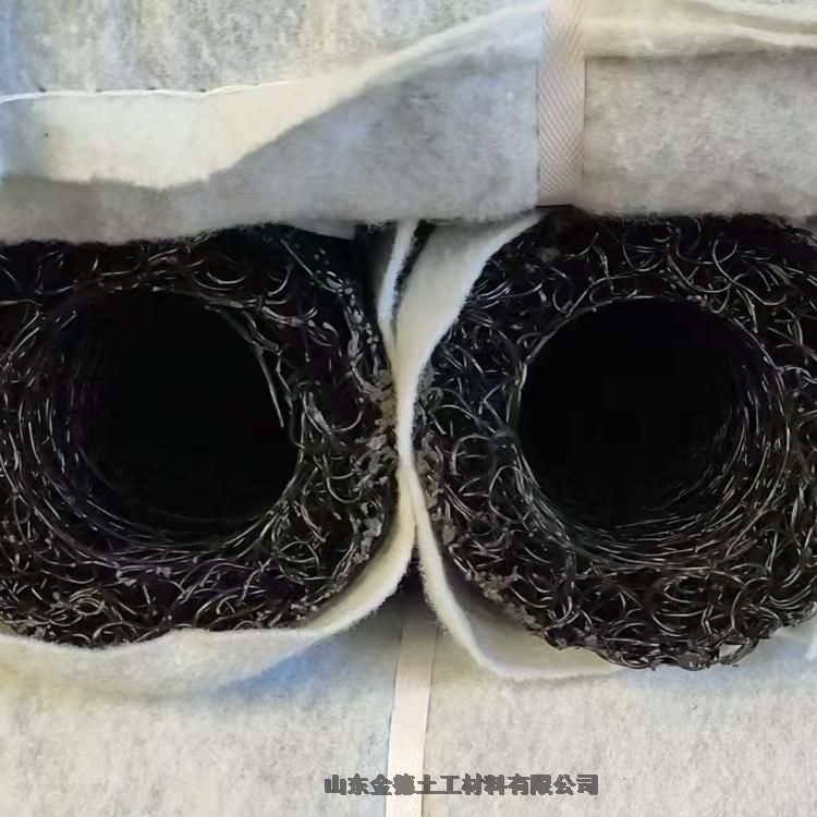 垃圾填埋滲濾液收集 多孔隙結構塑料土工席墊1.5cm厚