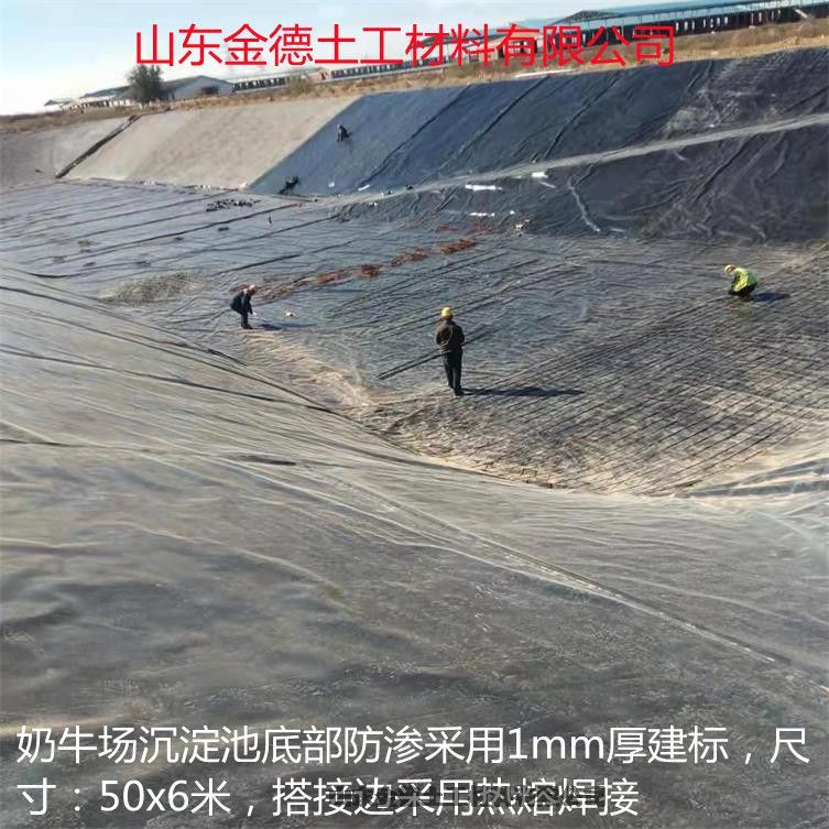 景觀(guān)水體襯抗老化強壽命長(cháng)久美標浮動(dòng)膜2.0mm厚